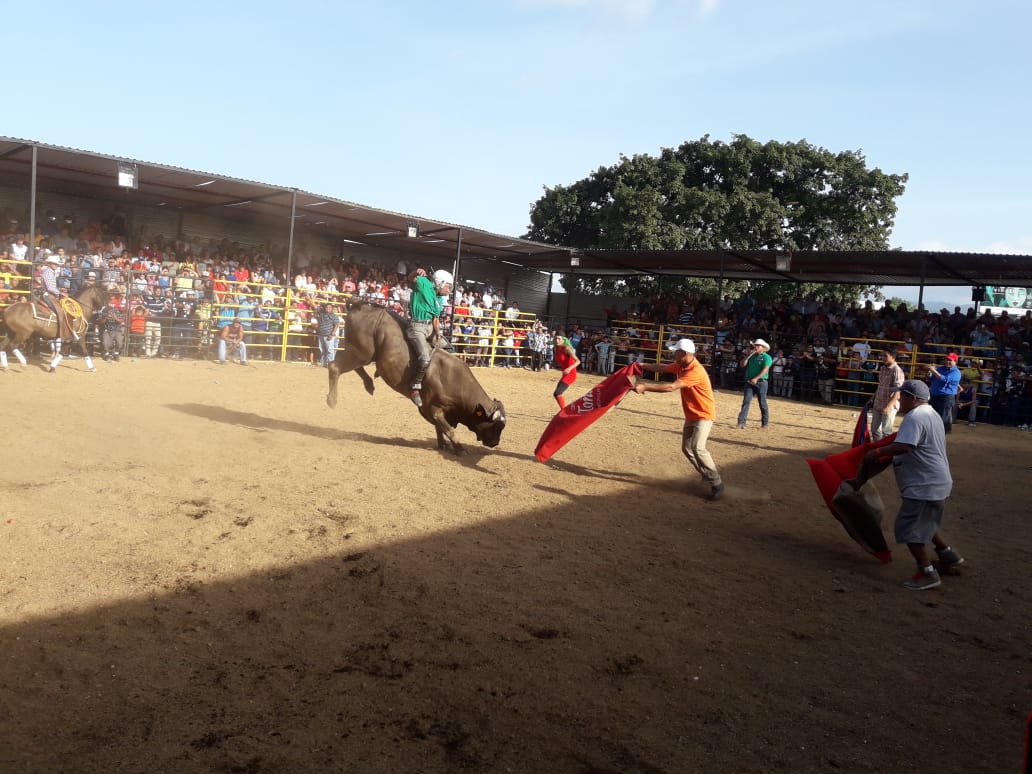 Toros2
